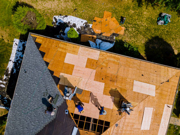 Best Residential Roofing Contractor  in Sterling, GA