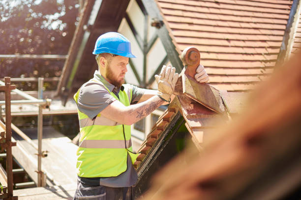 Best Roof Leak Repair  in Sterling, GA