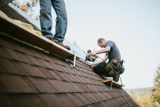 Professional Roofing Contractor in Sterling, GA