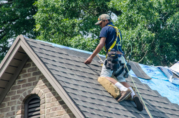 Gutter Installation and Roofing in Sterling, GA